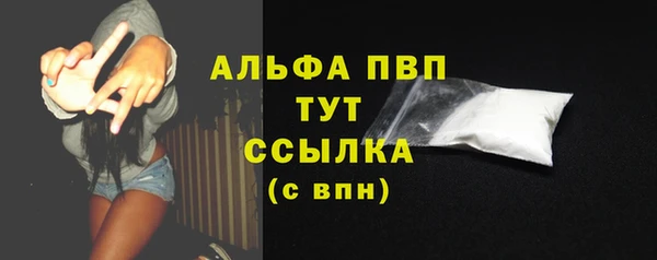 PSILOCYBIN Медвежьегорск