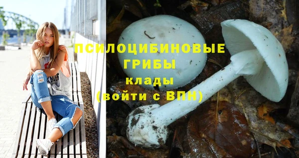 Альфа ПВП Абдулино