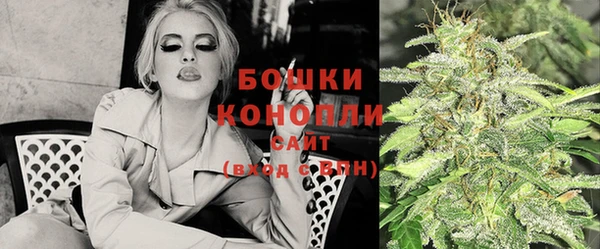 PSILOCYBIN Медвежьегорск