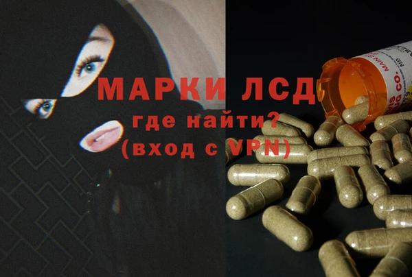PSILOCYBIN Медвежьегорск