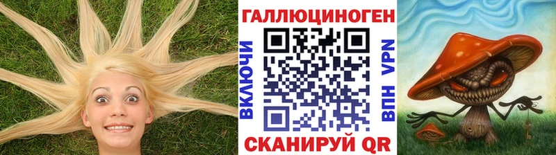 Псилоцибиновые грибы мицелий  магазин  наркотиков  Новотитаровская 